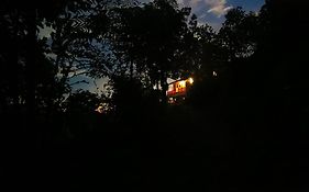 Finca San Rafael - Cafe y Cacao